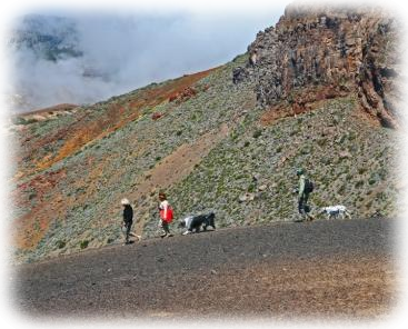 Las Canadas del Teide